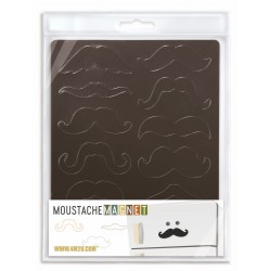 12 magneten Moustache