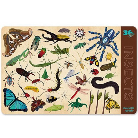 Placemat met 36 insecten