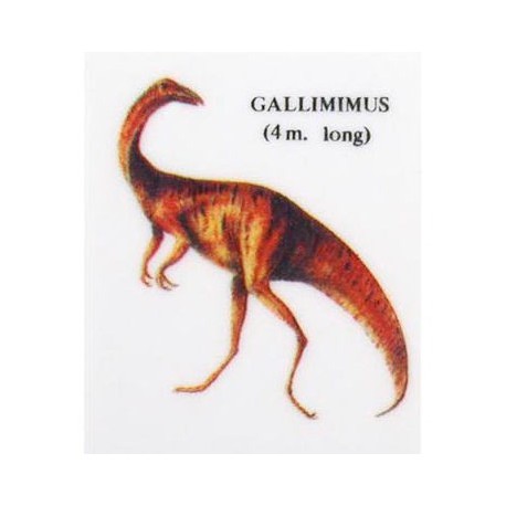 Gomme dinosaure