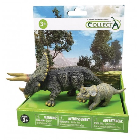 Boite cadeau Triceratops & bébé
