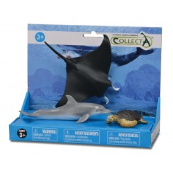 Cadeaudoos 3 zeedieren