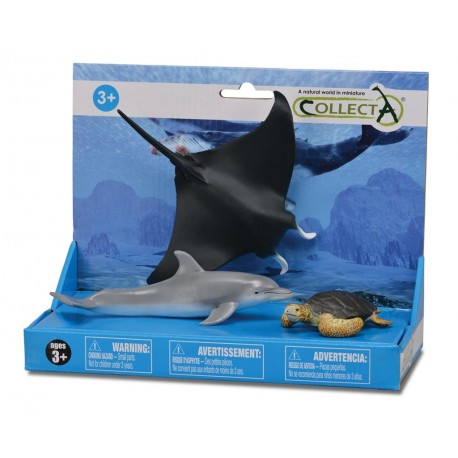 Cadeaudoos 3 zeedieren