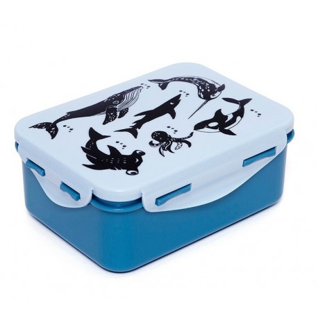 Lunchbox Zeedieren