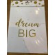 Affiche "Dream Big"