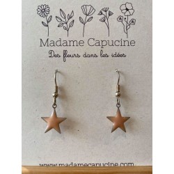 Boucles d'oreilles étoiles rose Madame Capucine