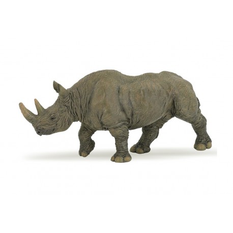 Rhinocéros