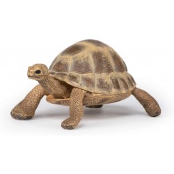 Figurine Tortue d'Hermann papo