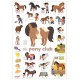Mini poster Les chevaux + 27 stickers