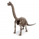 Dino Brachiosaurus opgraven