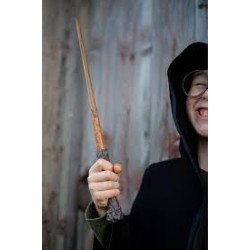 Baguette d'Harry Potter