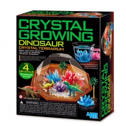 Crystal growing - Dino Terrarium