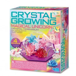 Crystal growing - Eenhoorn Terrarium