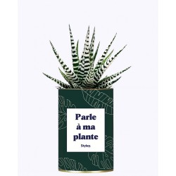 Plant "Parle-a-ma-plante"