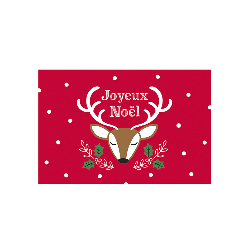 Carte double joyeux Noël (+ enveloppe) - Pingouin à Roulettes