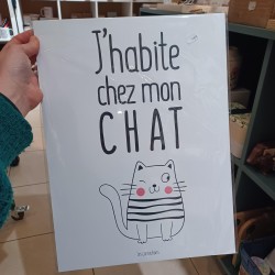 Affiche "J'habite chez mon chat"