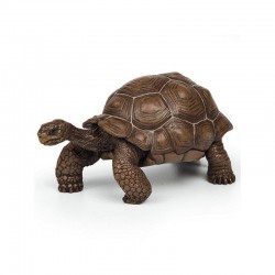 Figurine Tortue de galapagos Papo