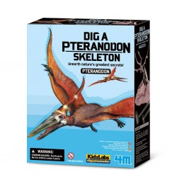 Graaf je Dino op - Pteranodon