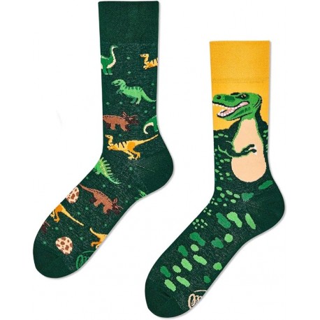 Chaussettes Dinosaures
