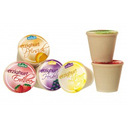 Houten Vruchtenyoghurt (per stuk)