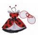 Coccinelle Lana (3-5 ans)