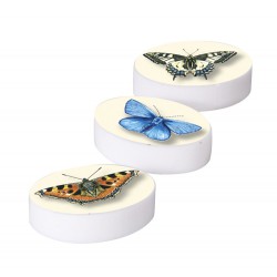 Gomme Papillon