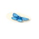 Gomme Papillon (pc)