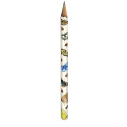 Crayon Papillons