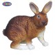 Lapin marron