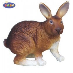 Lapin marron PAPO