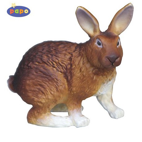 Lapin marron